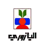 Publication Partner 11